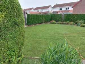 Hovenier Arjan Oskan – Tuinontwerp, Aanleg & Onderhoud in Ede